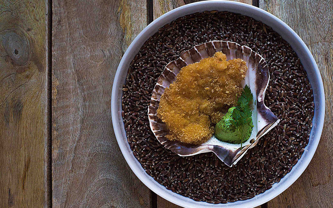 Kreveta smažená v panko strouhance