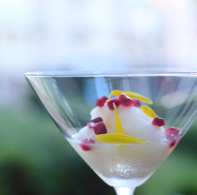 Sorbet ze smrkových výhonků