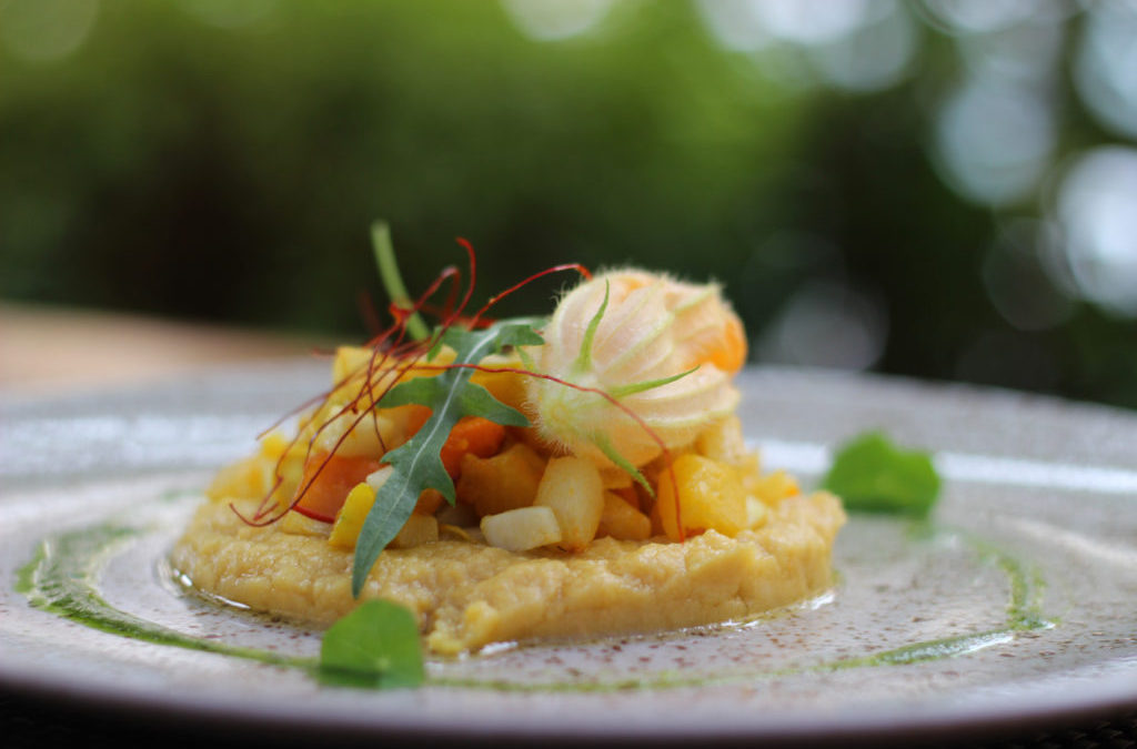 Grilovaná dýně a patizon s cizrnovým pyré