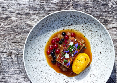 Bůček, rybíz, brambor