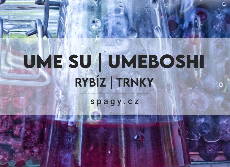 Ume Su | Umeboshi